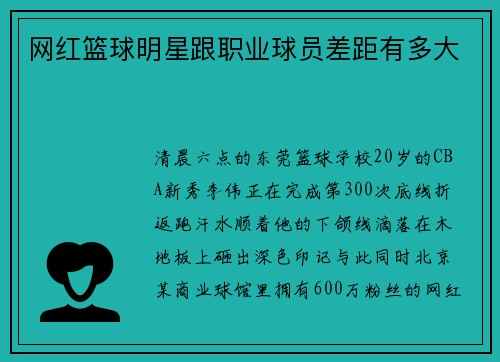 网红篮球明星跟职业球员差距有多大