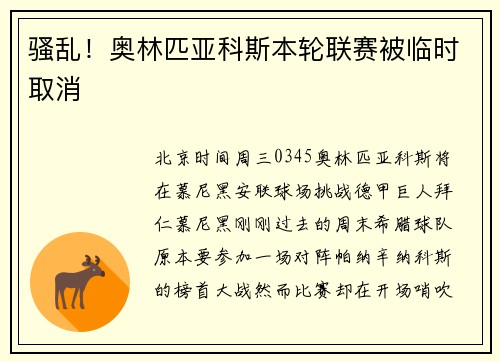 骚乱！奥林匹亚科斯本轮联赛被临时取消