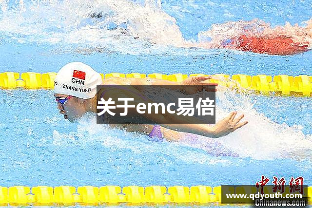 关于emc易倍